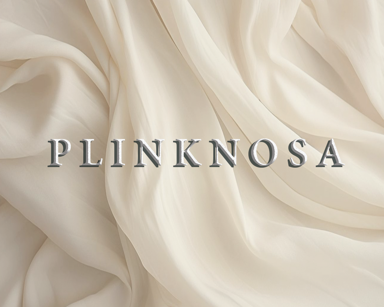 PLINKNOSA LOGO