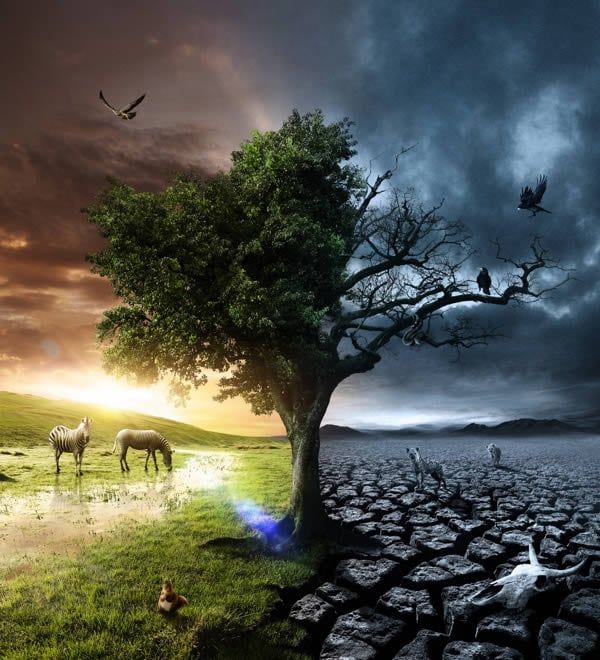 The Photo Manipulation Projects of Thiago Storino _ Envato Tuts+